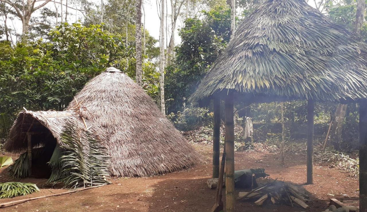 Shipati Lodge Puerto Misahuallí 외부 사진
